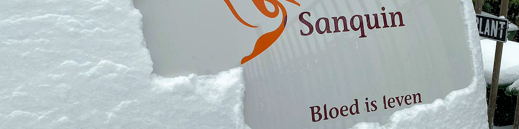 Foto Galerie – Winter februari 2021